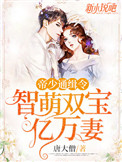 帝少追缉令天才萌宝亿万妻